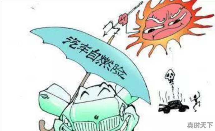 3、二手车买保险怎么买最合算，二手车怎么上路买保险便宜 - 真时天下