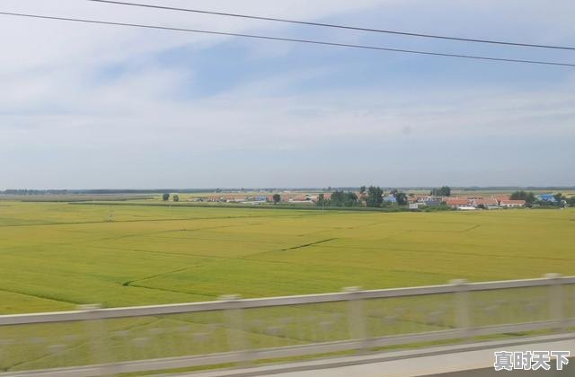 1、230211开头的身份证是哪里的，拜泉二手车大豆收40 - 真时天下