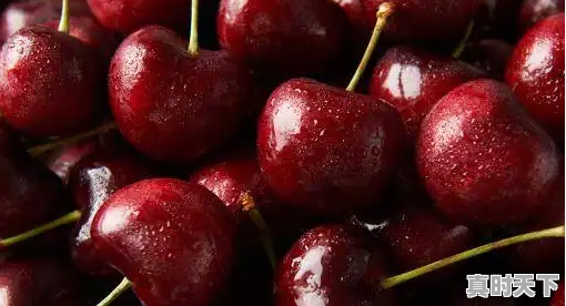 2、广东揭阳气温最高多少度，揭阳天气 - 真时天下