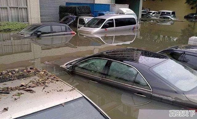 1、哪的二手车既便宜车况又好呢(离衡水最近的)，衡水二手车出售信息 - 真时天下