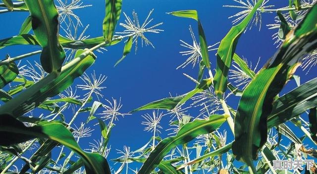 2、创新精神对个人发展的重要性，科技创新促进持续发展 - 真时天下