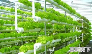 3、创新精神对个人发展的重要性，科技创新促进持续发展 - 真时天下