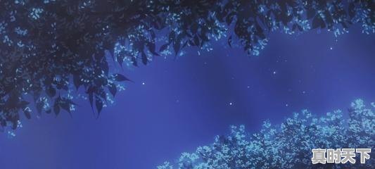 17、有哪些好看的动漫小清新适合少女的，画风干净漂亮，动漫推荐治愈可爱小孩 - 真时天下