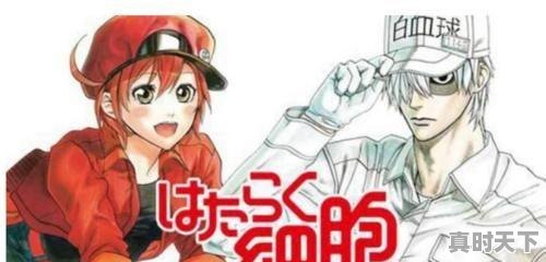 11、Q版三国同期上映的动漫，美国三观炸裂动漫推荐 - 真时天下