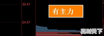 2、主力线和散户线指标怎么看,股票怎么看散户有多少资金 - 真时天下
