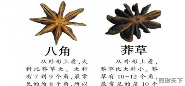 1、2023八角最新行情预测,今日八角价格 - 真时天下