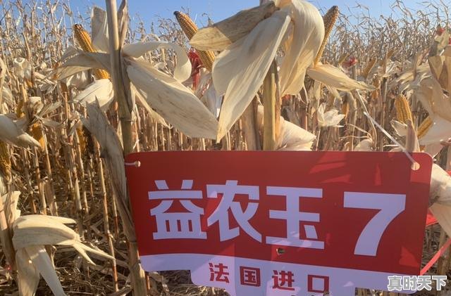 2、科技强国我们应该怎么做，科技创新提升综合国力 - 真时天下