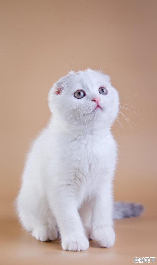 1、如何看股票的获利盘,怎么知道股票赚钱或赔钱 - 真时天下