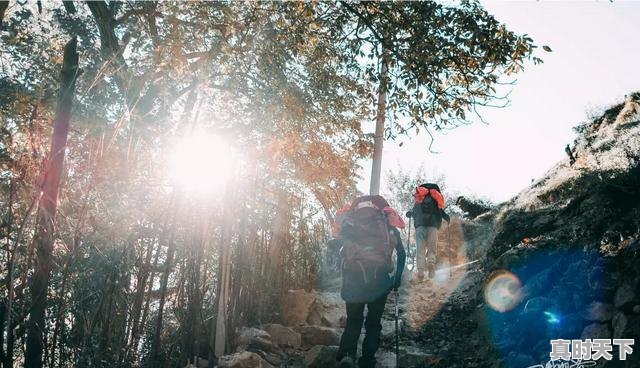 5、想去梅里雪山,什么时候看到日照金山的概率比较大,金山天气 - 真时天下