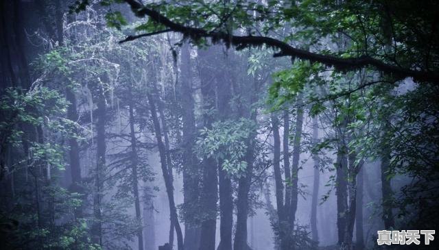 9、想去梅里雪山,什么时候看到日照金山的概率比较大,金山天气 - 真时天下