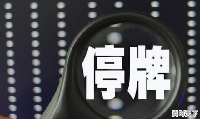 1、盘中临时停盘一般是多久,股票停牌一般停多久 - 真时天下