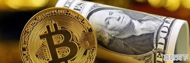 2、柚子币合法吗,柚子币今日价格 - 真时天下