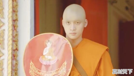 1、2020年票房最高的电影,最新电影大片2020夺冠是哪一部啊 - 真时天下