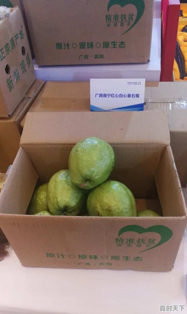 6、十四五推进农业现代化新举措,科技创新驱动现代农业发展 - 真时天下