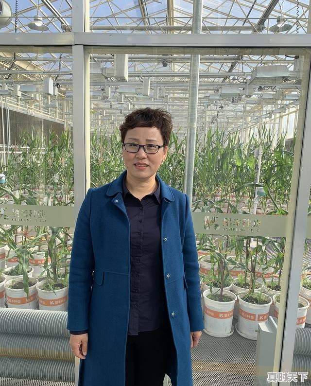 3、推动农业发展的科学技术有哪些，农业科技创新成果有哪些 - 真时天下