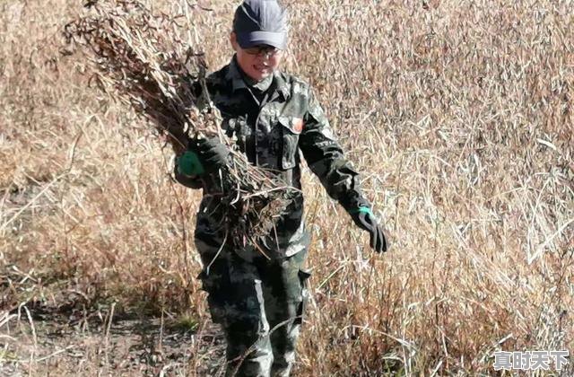 5、推动农业发展的科学技术有哪些，农业科技创新成果有哪些 - 真时天下