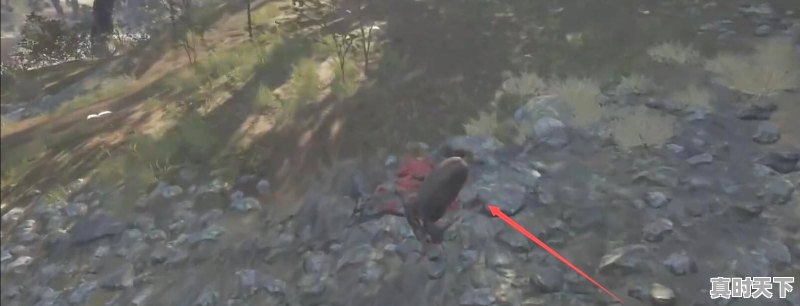 1、虚空遁地兽哪个皮肤好,热门游戏什么猎物好玩啊 - 真时天下