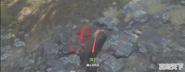 2、虚空遁地兽哪个皮肤好,热门游戏什么猎物好玩啊 - 真时天下