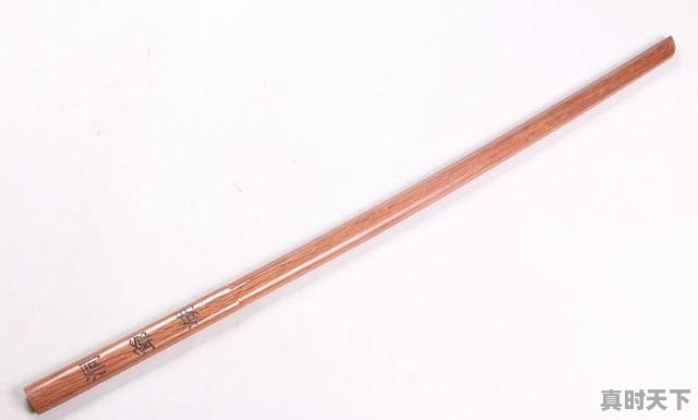 4、蛋壳特工混乱之剑强吗，男主剑术很强的动漫推荐 - 真时天下