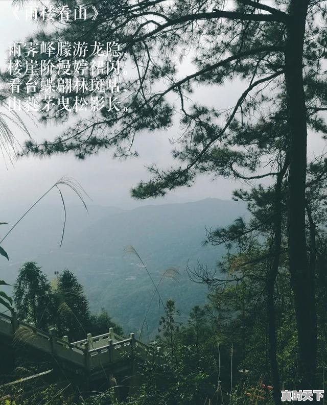 4、如何认识科技创新在实现经济高质量发展中重要作用,如何发挥推动科技创新方面作用 - 真时天下