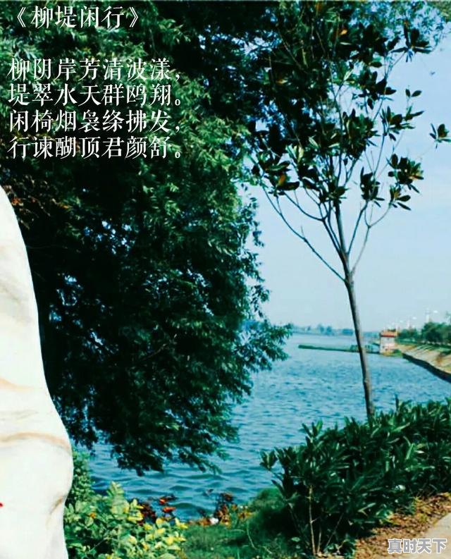 5、如何认识科技创新在实现经济高质量发展中重要作用,如何发挥推动科技创新方面作用 - 真时天下