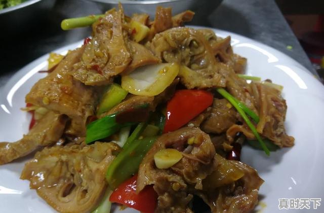 7、华阳市万顺建筑工程有限公司，潼关县以科技创新推动高质量发展 - 真时天下