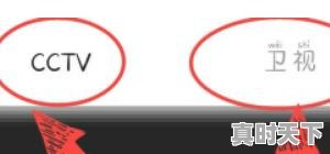 3、电影频道可以回看吗,电影节目回放在哪看啊 - 真时天下