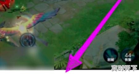 8、电影频道可以回看吗,电影节目回放在哪看啊 - 真时天下