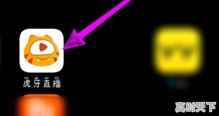 6、电影频道可以回看吗,电影节目回放在哪看啊 - 真时天下