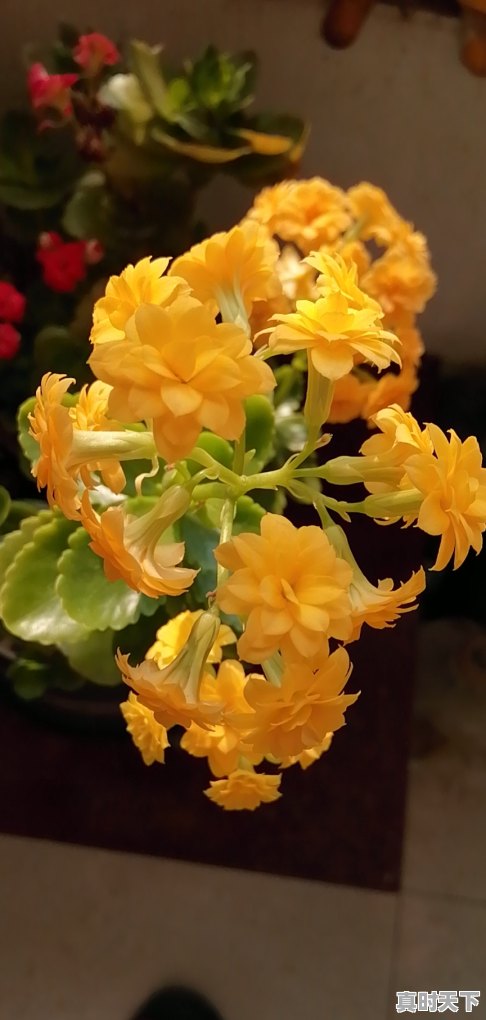 1、连续大宗交易折价成交预示着什么，频繁买入卖出同一只股票可以吗 - 真时天下