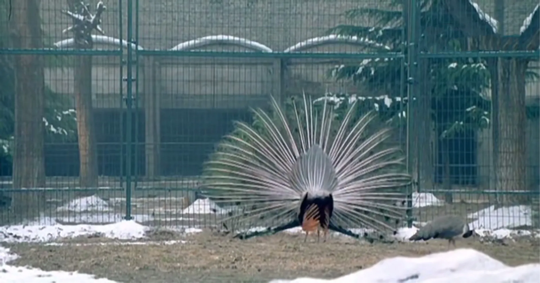 6、经典必看的好电影推荐，动漫推荐经典 - 真时天下