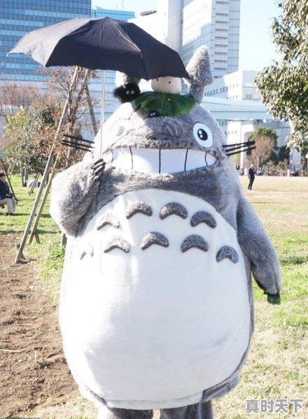 8、哪个动漫女生有女人味,身材好的女生动漫推荐一下 - 真时天下