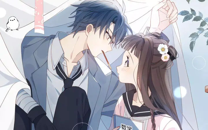 5、关于很多男的喜欢一个女的的动漫，许多男主喜欢一个女主动漫推荐 - 真时天下