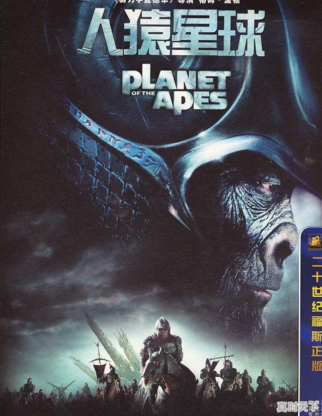 5、国外棋牌游戏有哪些，好不好玩，最近国外热门游戏排行榜 - 真时天下