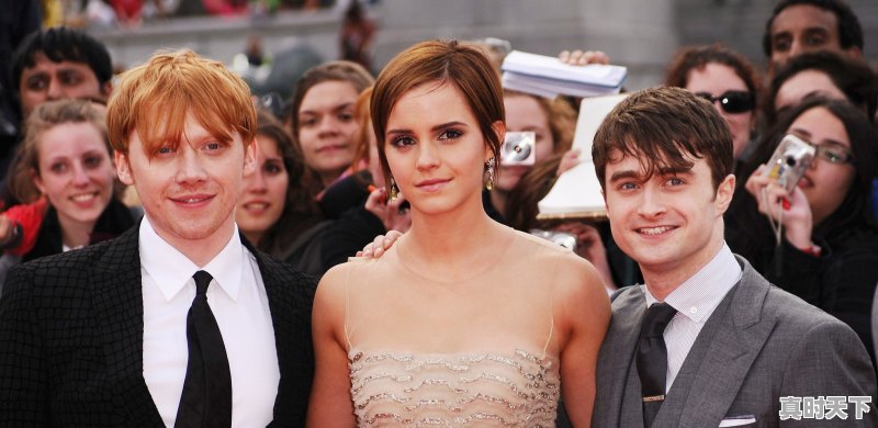 2、日韩欧美免费好看的电视剧电影，2022欧美最新电影推荐排行榜大全 - 真时天下