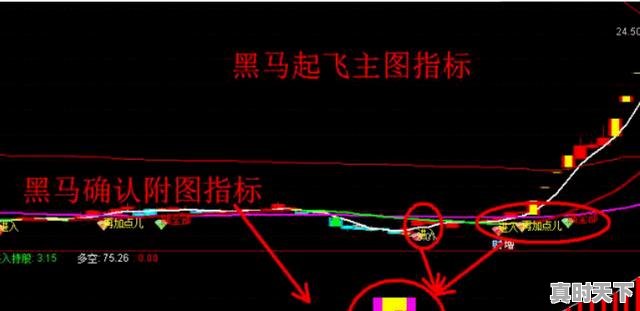 贬值率最低的车排名前十名，内蒙古领航员二手车 - 真时天下