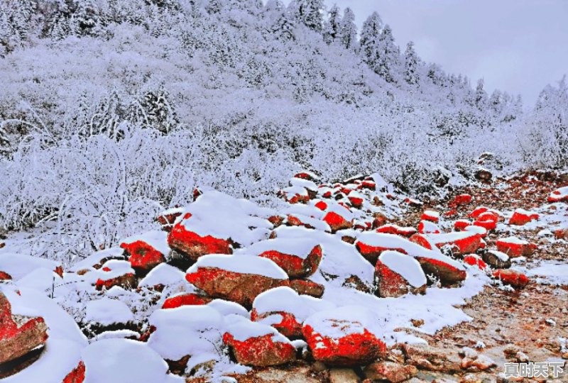 2、想问如果12月底去海螺沟如何,海螺沟天气 - 真时天下