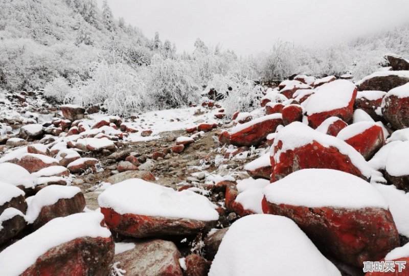 8、想问如果12月底去海螺沟如何,海螺沟天气 - 真时天下