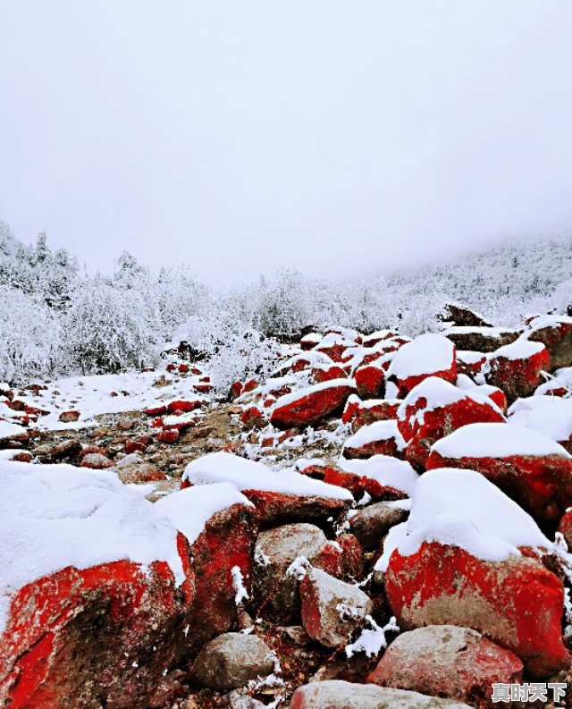 7、想问如果12月底去海螺沟如何,海螺沟天气 - 真时天下