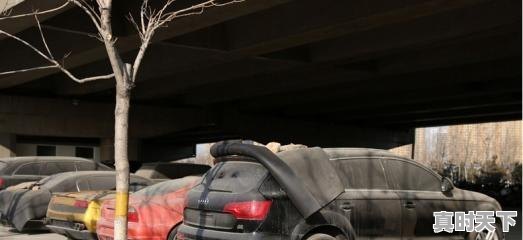 1、二手车好卖吗,今年什么二手车好买 - 真时天下