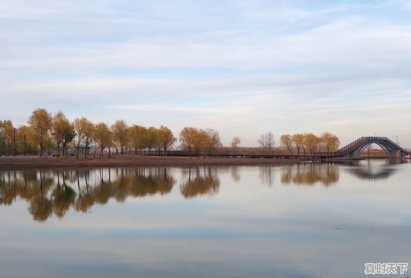 6、哈尔滨道里区今天下雨了吗,哈尔滨今日天气 - 真时天下