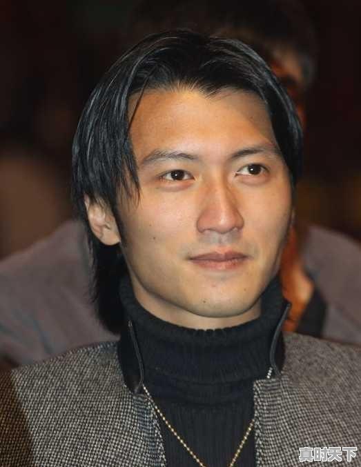 3、谢霆锋拍过哪些电影?为什么他会拿影帝呢,上海电影节谢霆锋 - 真时天下