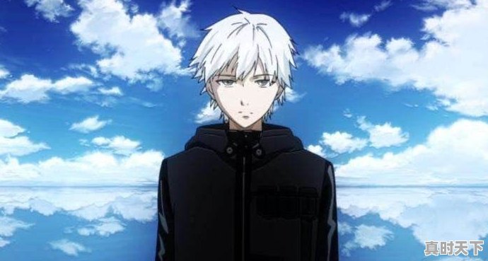 4、既帅帅又拽拽动漫人物排行榜,动漫推荐超帅的男生 - 真时天下