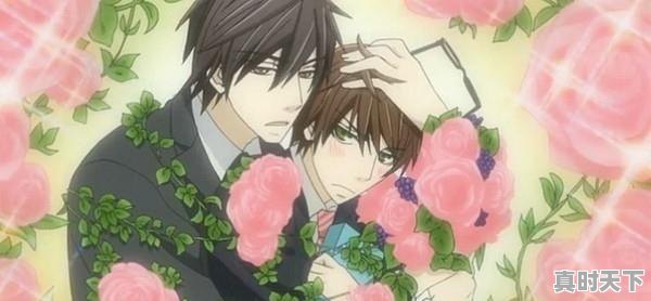 2、有啥搞基动漫推荐给我,动漫推荐男人一看就爱上的 - 真时天下