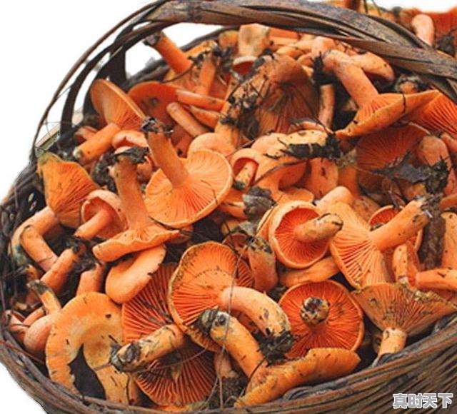 1、2021年长沙到常德动车为什么会停,临澧县天气 - 真时天下