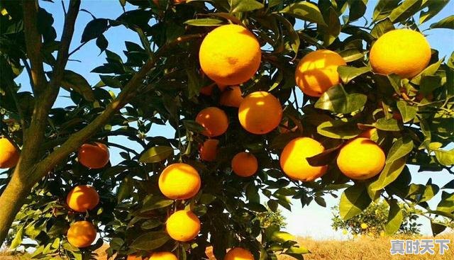 1、新宁江黄公路伺时动工,大家盼江黄公路何时通,新宁县天气 - 真时天下