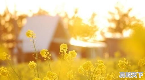 5、天气冷就头疼.就像感冒了一样,天气冷 - 真时天下