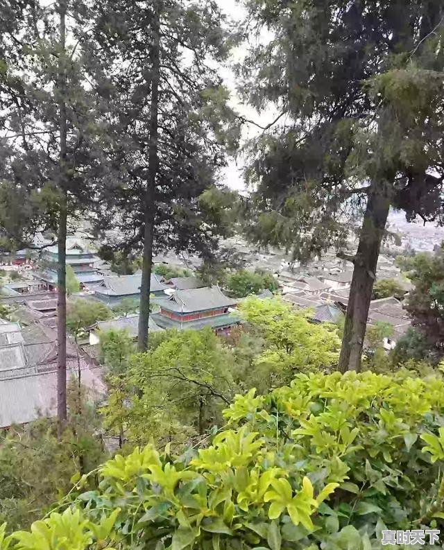 4、天气冷就头疼.就像感冒了一样,天气冷 - 真时天下