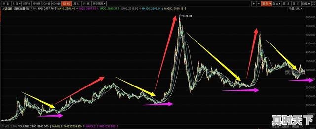 1、以自己为例，长期炒股到底赚不赚钱，玩股票一般赔钱吗 - 真时天下
