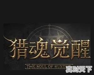 14、安卓平板游戏前十名,安卓版热门游戏推荐排行榜 - 真时天下